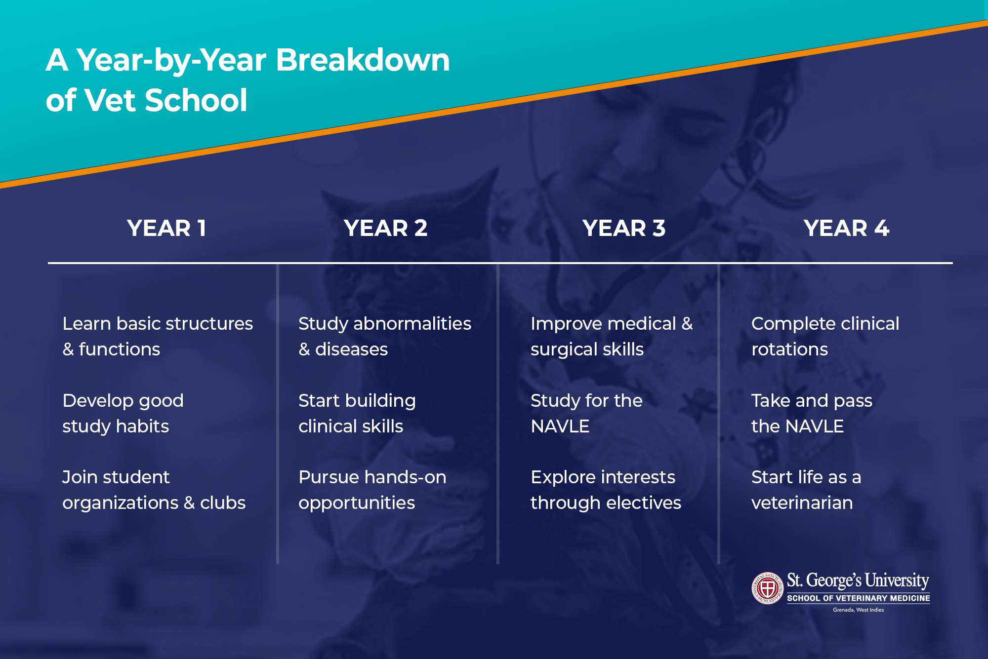 How Long Is Vet School Training For Veterinary School SGU