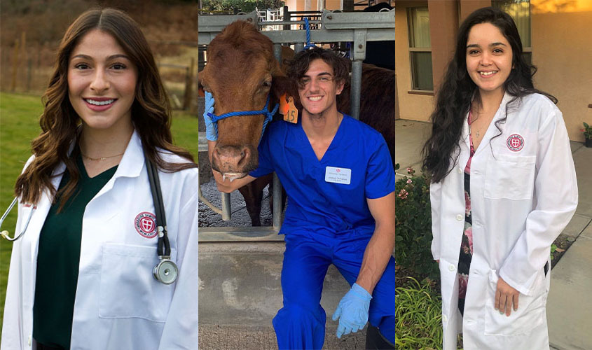 School of Veterinary Medicine | St. George's University, Grenada